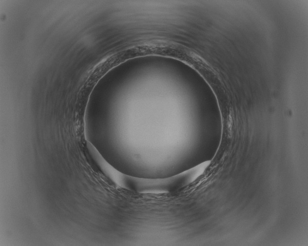 X0000073750822200608171329