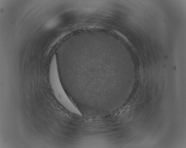 X0000073750823200608171329