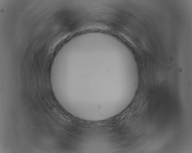 X0000073750824200608171329