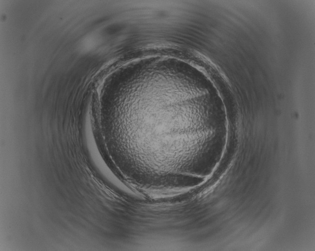 X0000073750825200608171329