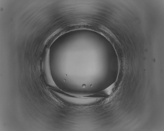 X0000073750826200608171329