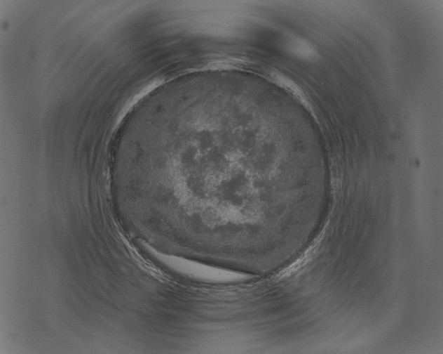 X0000073750827200608171329