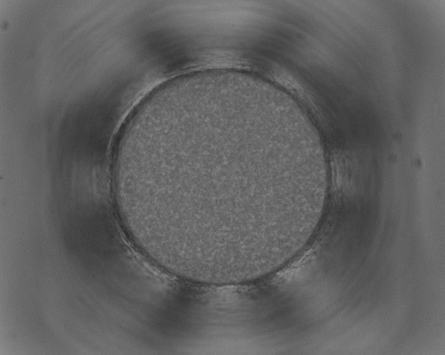 X0000073750828200608171329