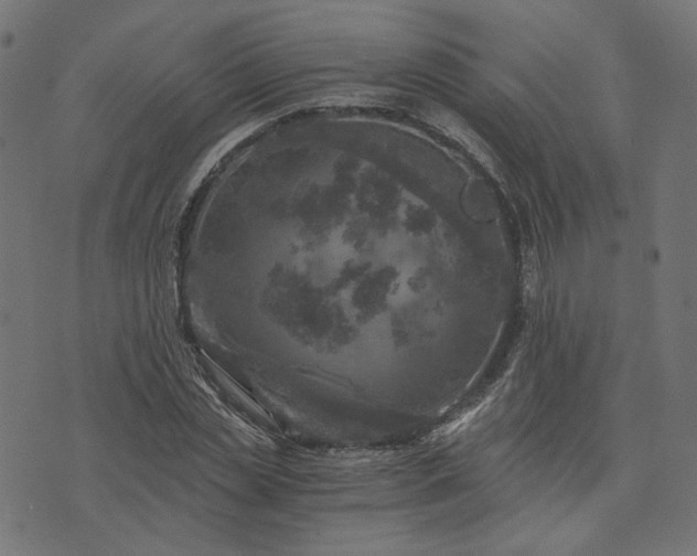 X0000073750829200608171329