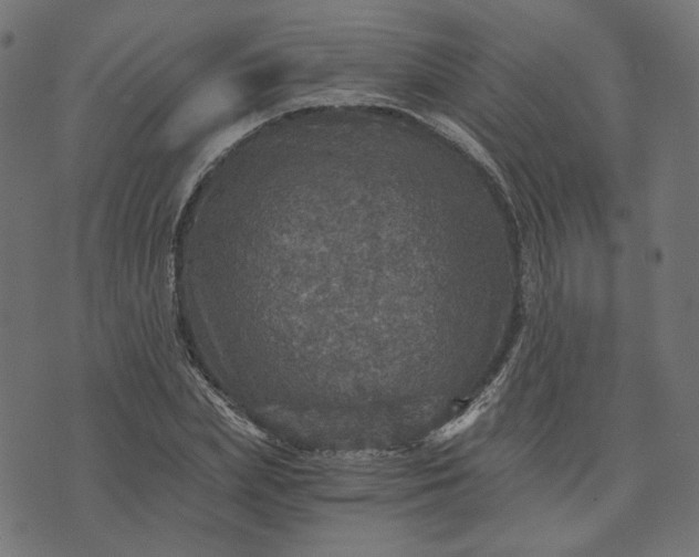 X0000073750831200608171329