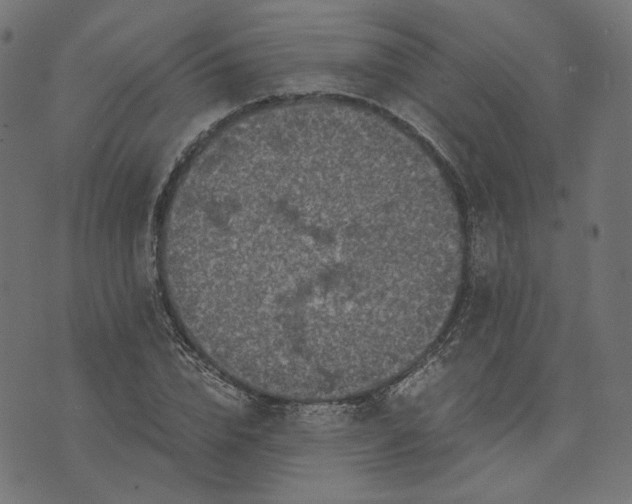 X0000073750832200608171329