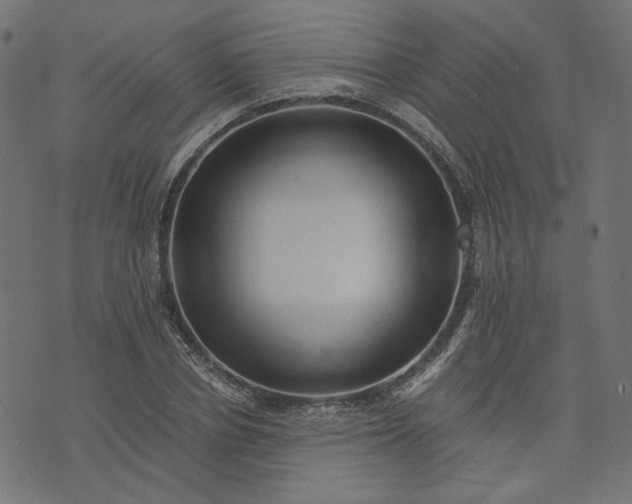 X0000073750834200608171329