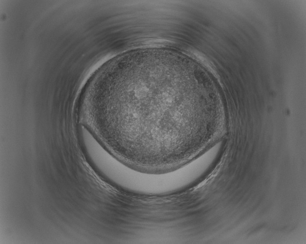 X0000073750835200608171329