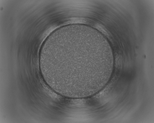 X0000073750836200608171329