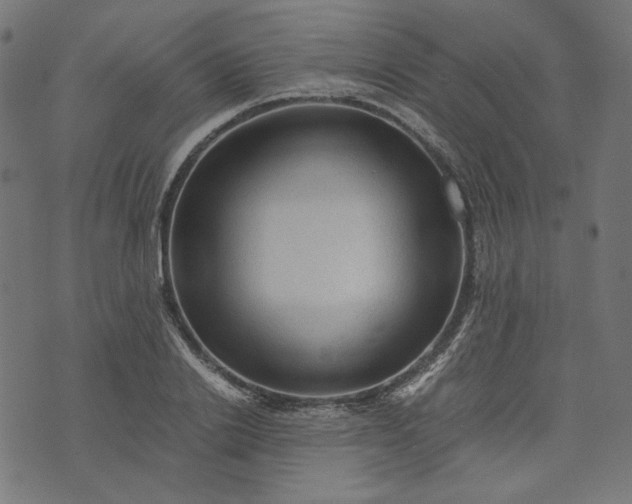 X0000073750838200608171329