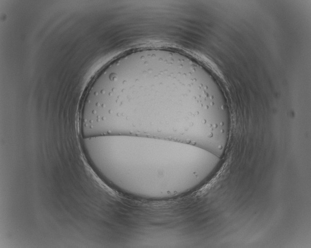 X0000073750839200608171329