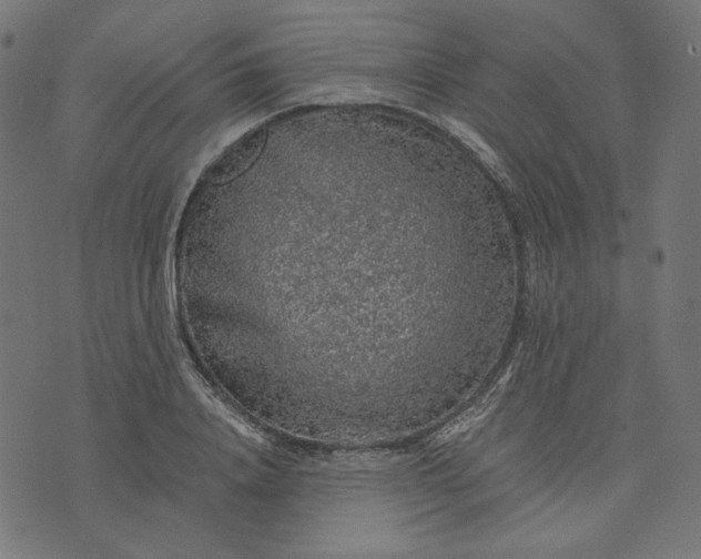 X0000073750840200608171329