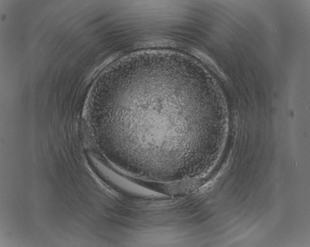 X0000073750841200608171329