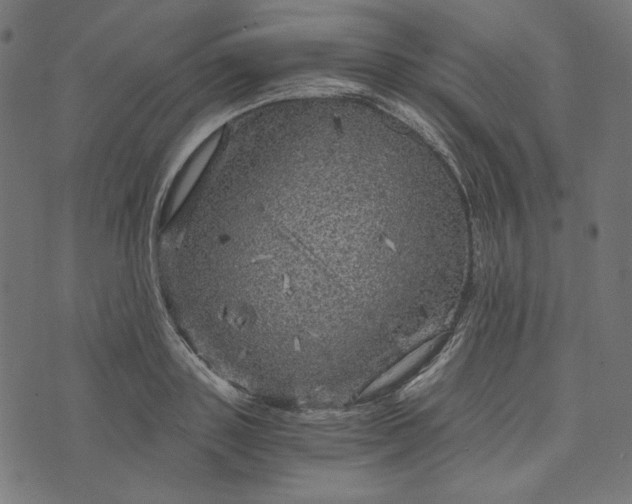 X0000073750843200608171329