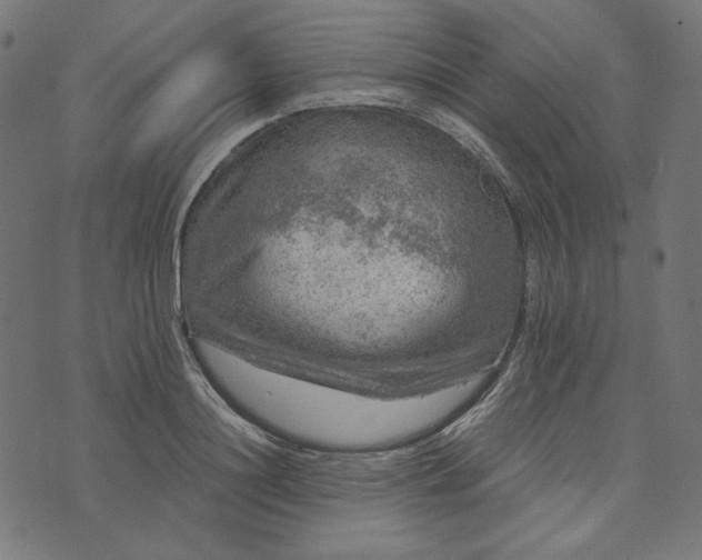 X0000073750844200608171329