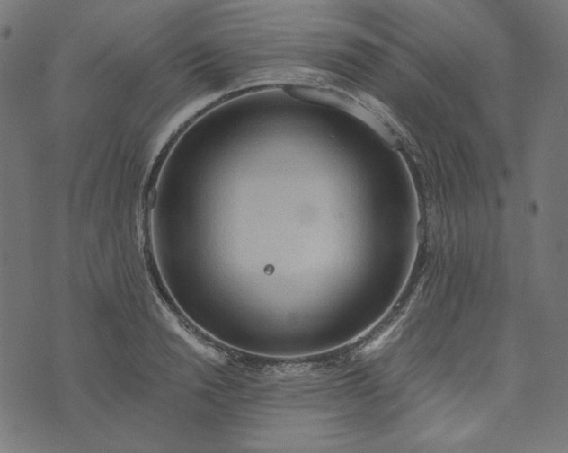 X0000073750846200608171329