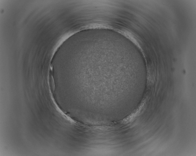 X0000073750847200608171329