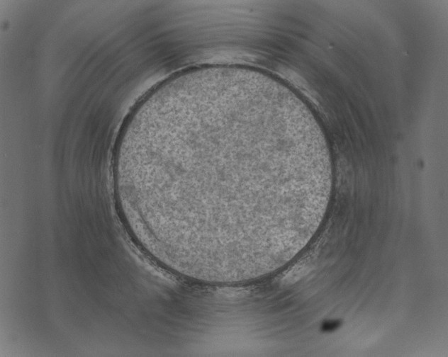 X0000073750848200608171329