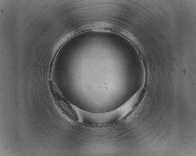 X0000073750850200608171329