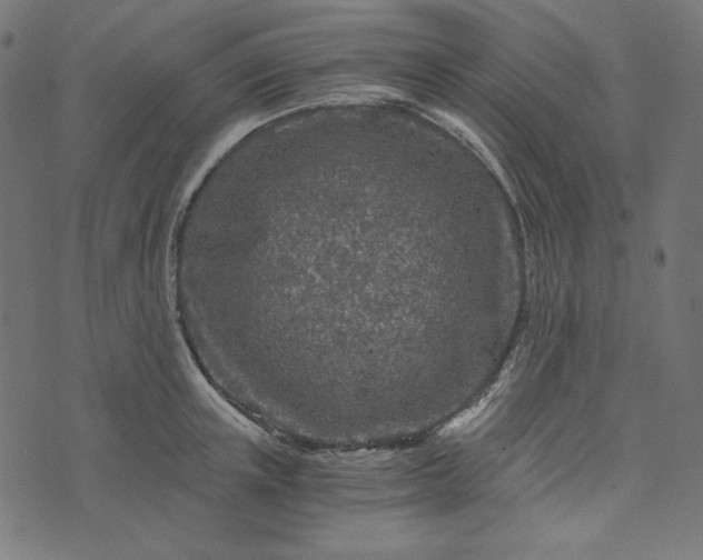 X0000073750851200608171329