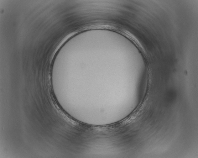 X0000073750852200608171329