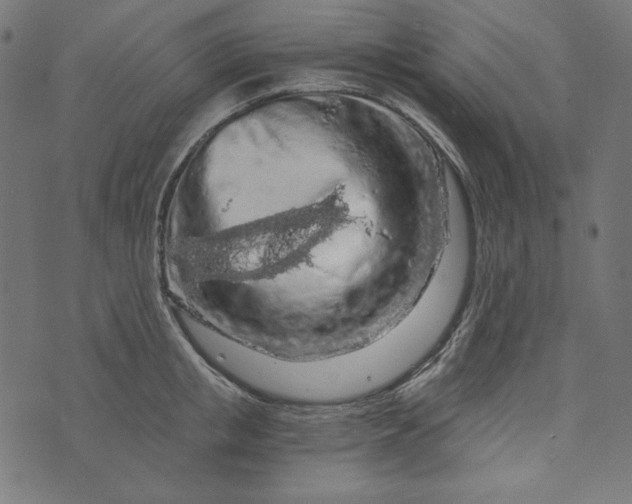 X0000073750853200608171329