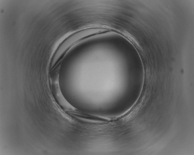 X0000073750854200608171329