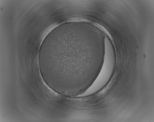 X0000073750855200608171329