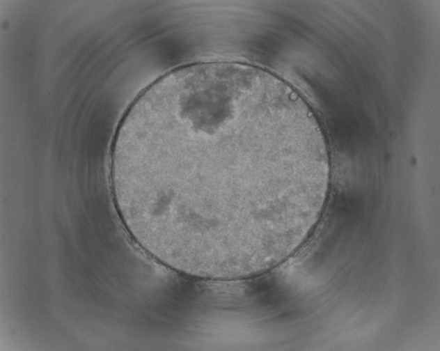 X0000073750856200608171329