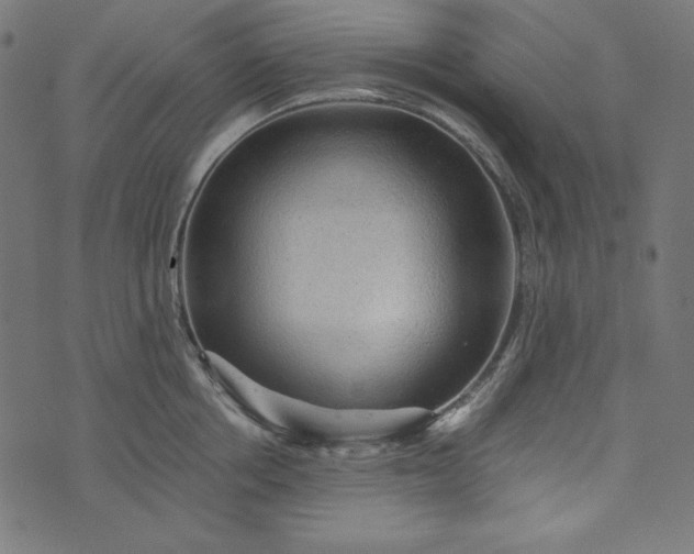 X0000073750858200608171329