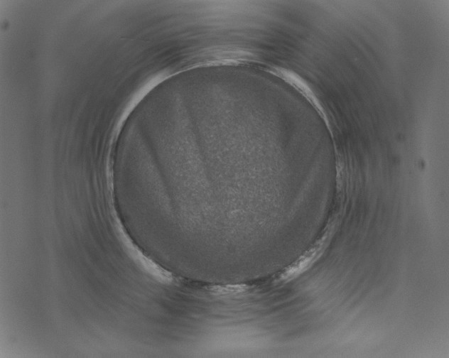 X0000073750859200608171329