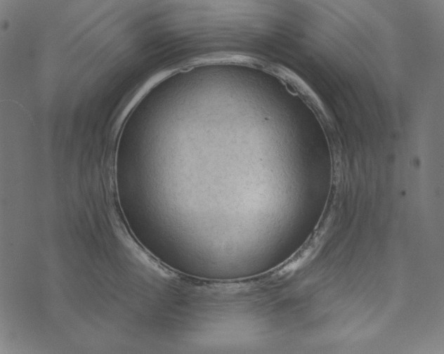 X0000073750860200608171329