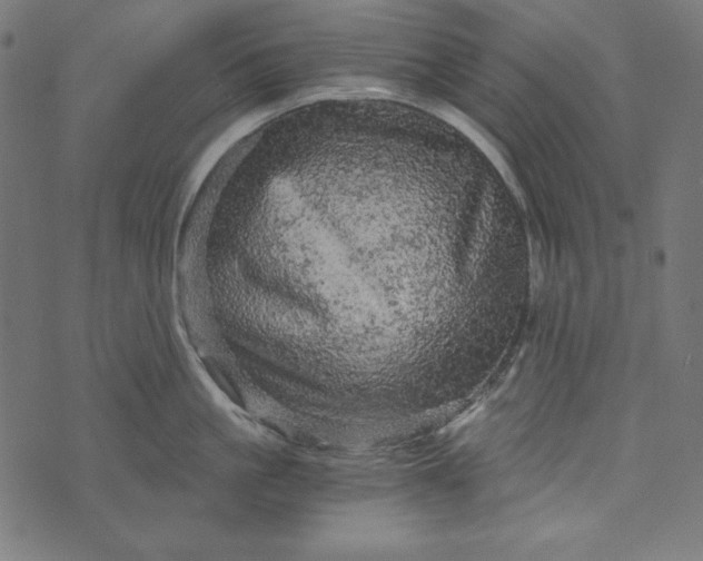 X0000073750861200608171329