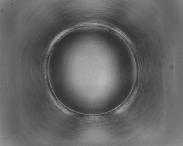 X0000073750862200608171329