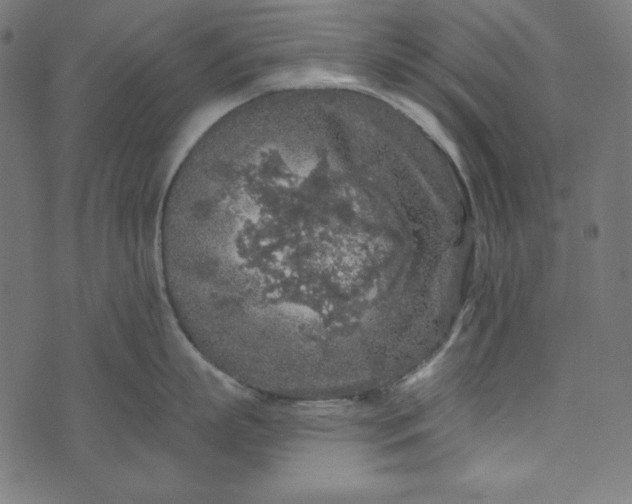 X0000073750863200608171329