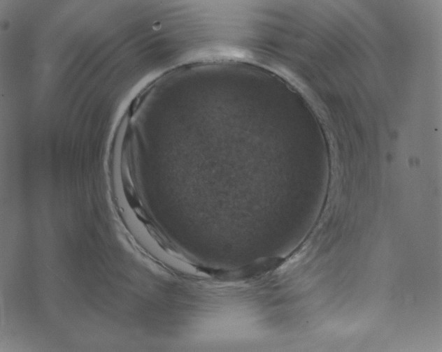 X0000073750864200608171329