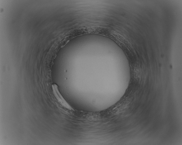 X0000073750865200608171329