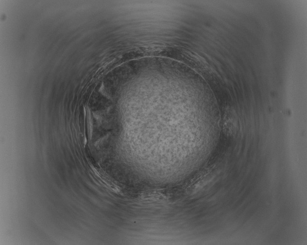 X0000073750866200608171329