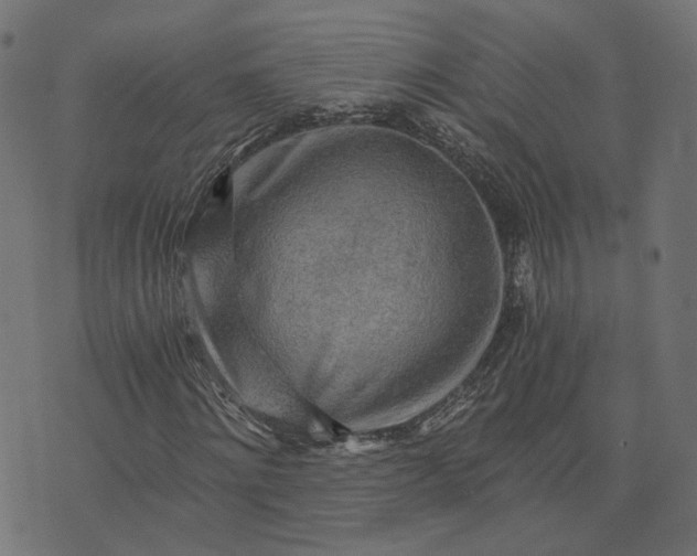 X0000073750868200608171329