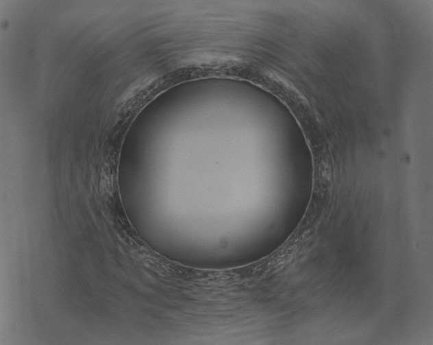 X0000073750869200608171329