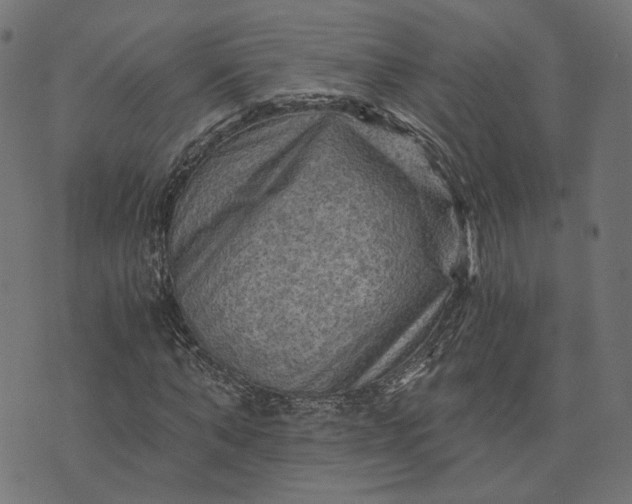 X0000073750870200608171329