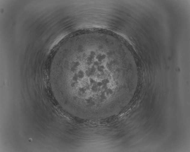 X0000073750871200608171329