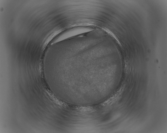 X0000073750874200608171328