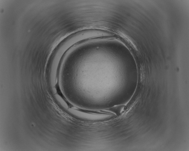 X0000073750876200608171328