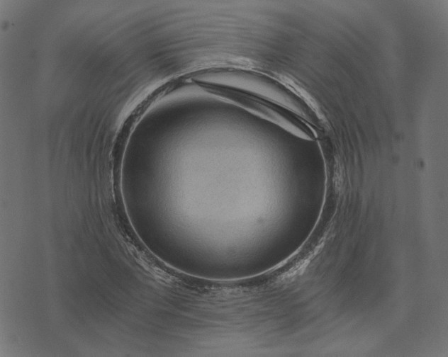 X0000073750877200608171328