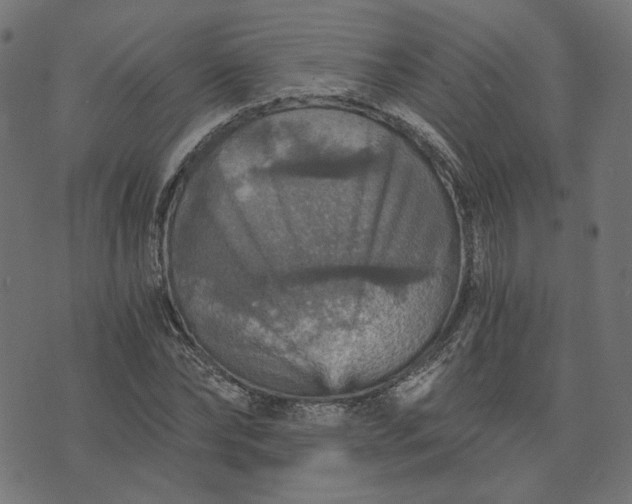 X0000073750878200608171328