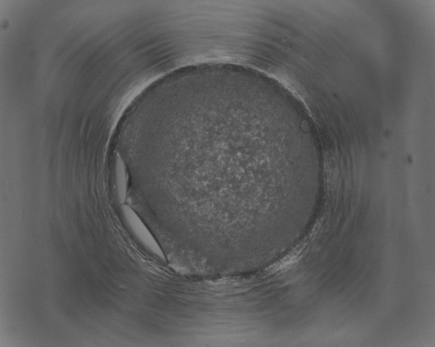 X0000073750879200608171328