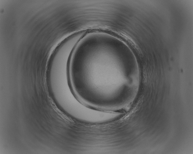 X0000073750880200608171328