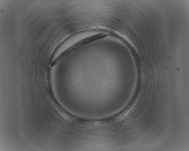 X0000073750881200608171328