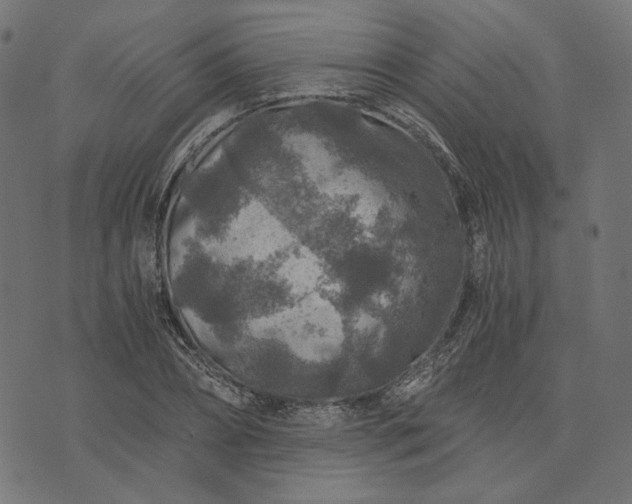 X0000073750882200608171328